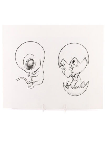 Evolution